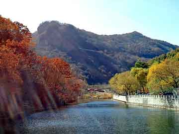 澳门天天开奖免费资料，湖南黑山羊价格